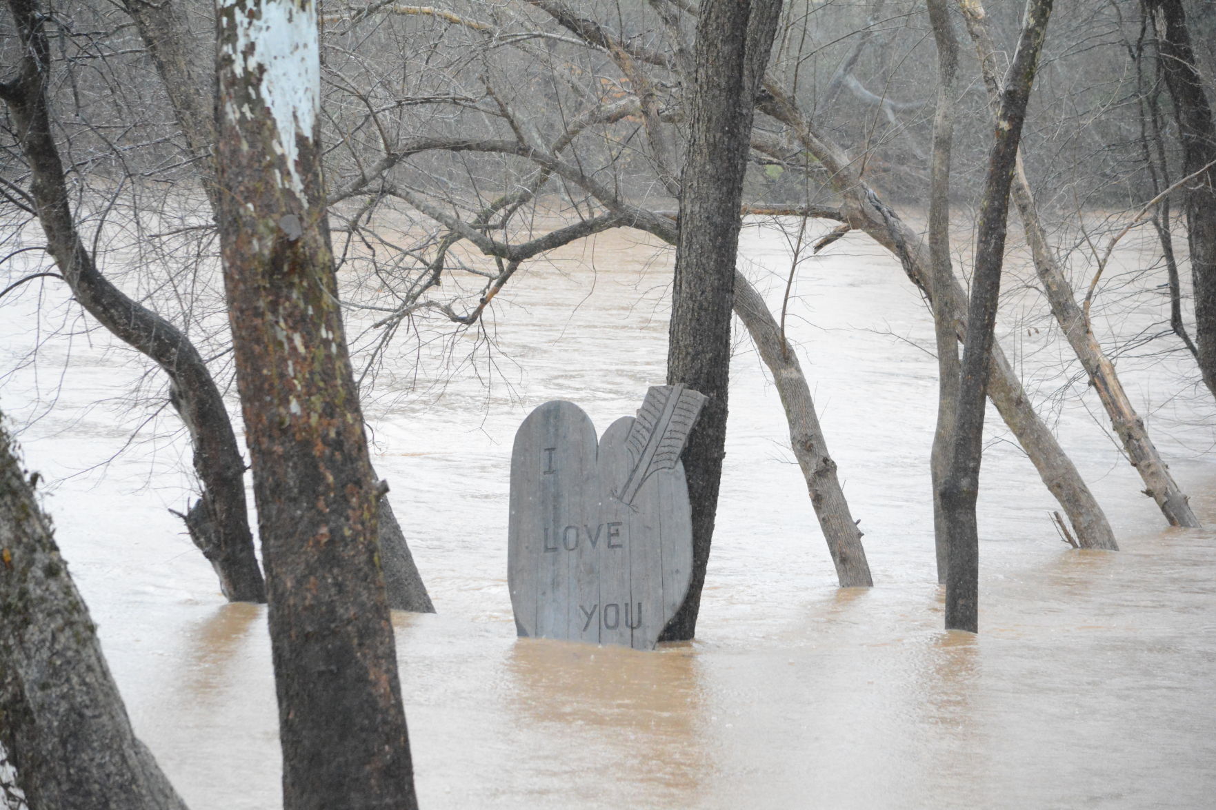0206 CM flash flooding (25).JPG